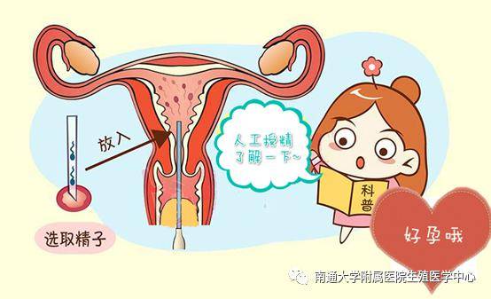 北京台 试管婴儿