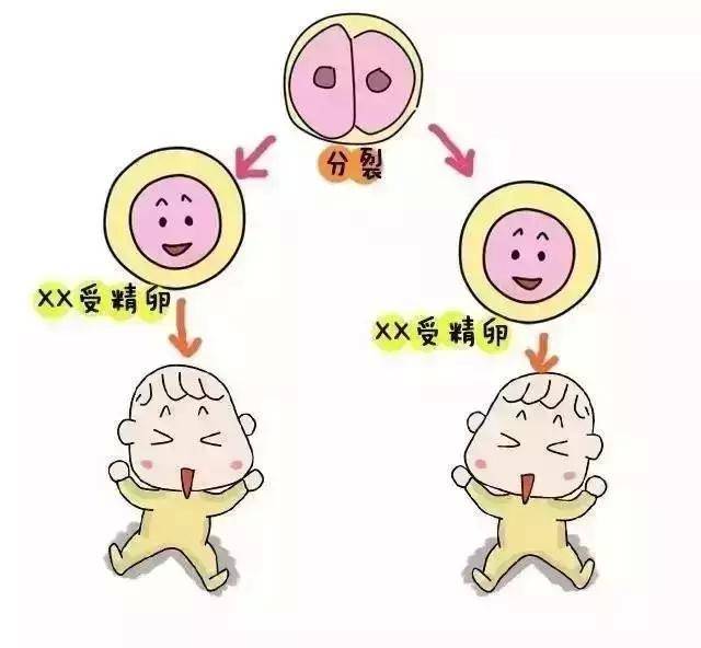 北京 第三代试管婴儿