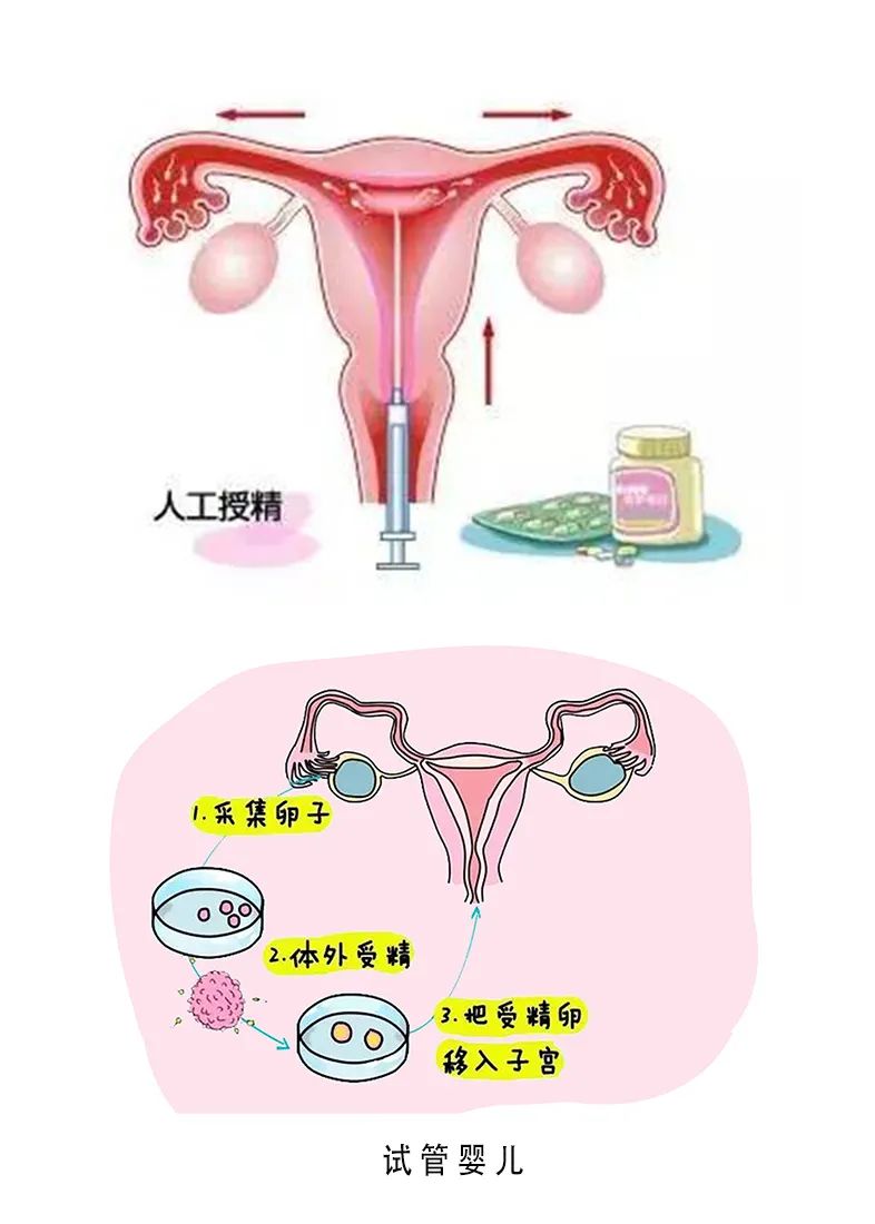 北京月子中心