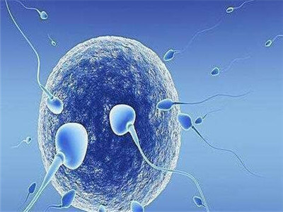 北京 第三代试管婴儿的费用多少钱