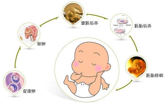 助孕妈妈