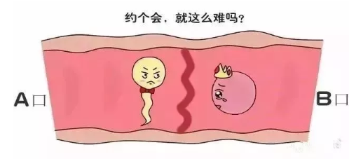北京治不孕