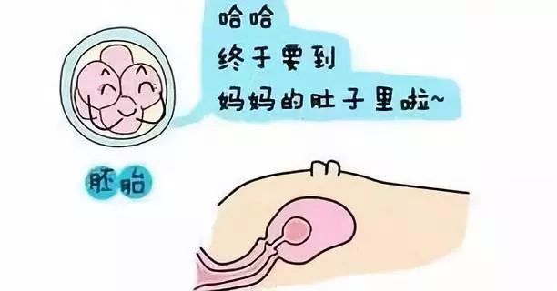 内蒙古试管婴儿