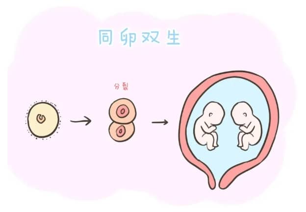 包生小孩子公司