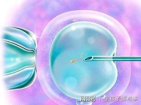附近招聘临时工一天一结