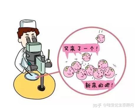 捐卵