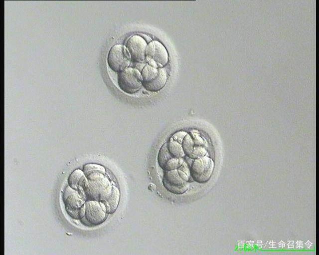 临沂市