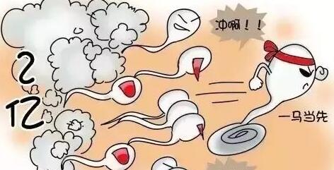丹东捐卵试管中心医院