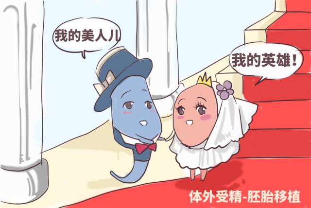 中山是否有捐卵的医院