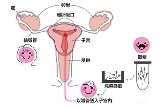 附近兼职临时工小时工