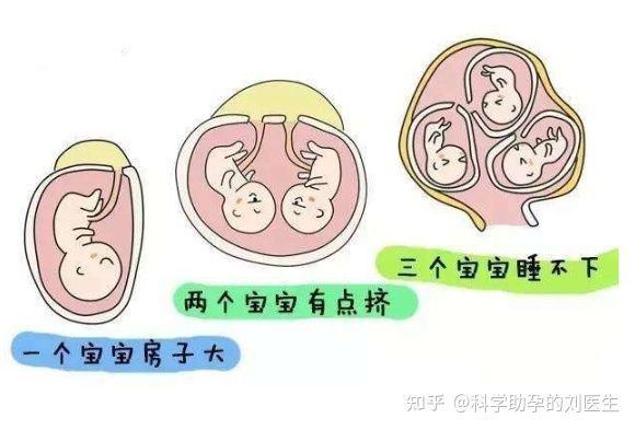 临沂哪里做人工授精