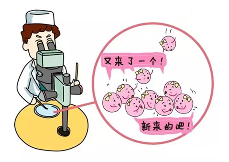 中山试管代怀孕公司