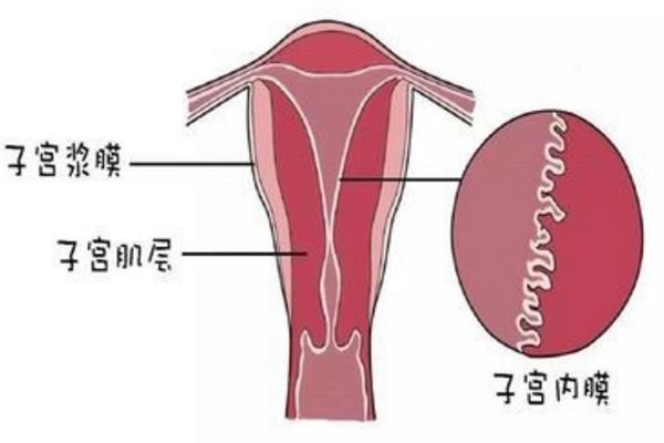 中班体育课